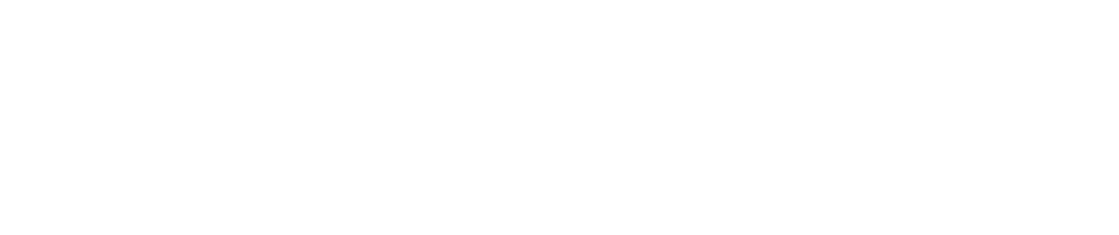 AV Company